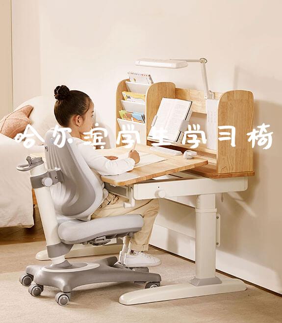哈尔滨学生学习椅_https://www.gmyd.com.cn/ejxsy_banner图片_第1张