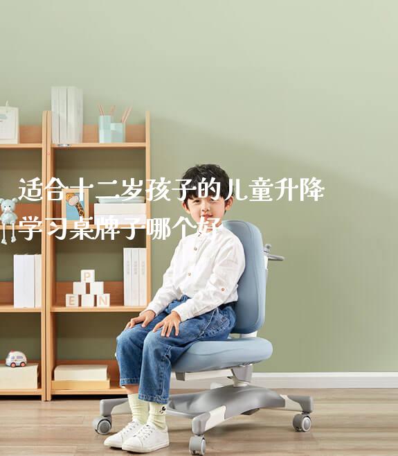 适合十二岁孩子的儿童升降学习桌牌子哪个好_https://www.gmyd.com.cn/ejxsy_正姿椅系列_第1张
