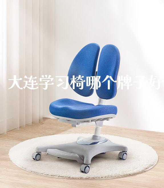 大连学习椅哪个牌子好_https://www.gmyd.com.cn/ejxsy_banner图片_第1张