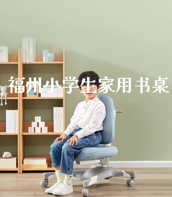 福州小学生家用书桌_https://www.gmyd.com.cn/ejxsy_banner图片_第1张