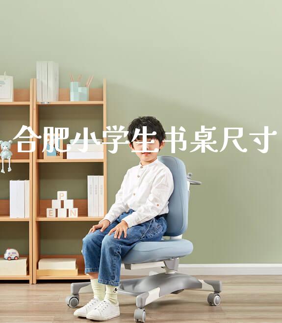 合肥小学生书桌尺寸_https://www.gmyd.com.cn/ejxsy_banner图片_第1张