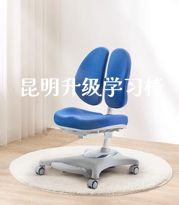 昆明升级学习椅_https://www.gmyd.com.cn/ejxsy_banner图片_第1张