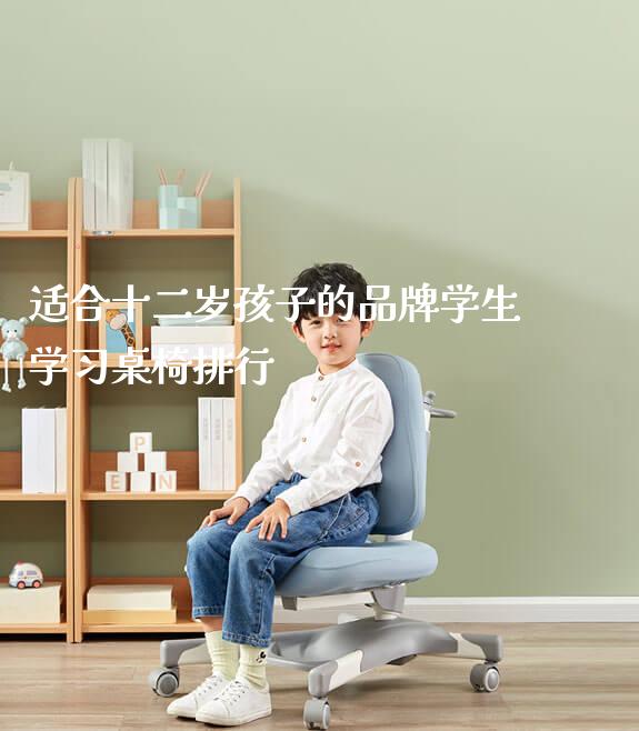 适合十二岁孩子的品牌学生学习桌椅排行_https://www.gmyd.com.cn/ejxsy_可升降桌椅_第1张
