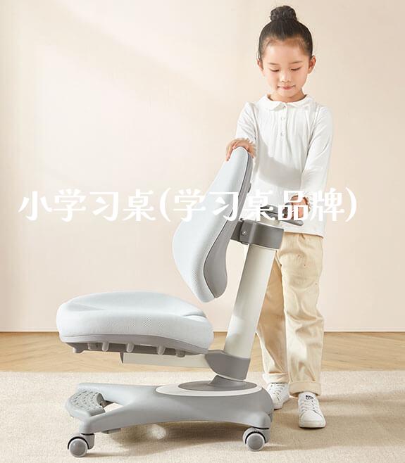 小学习桌(学习桌品牌)_https://www.gmyd.com.cn/ejxsy_学生桌椅_第1张