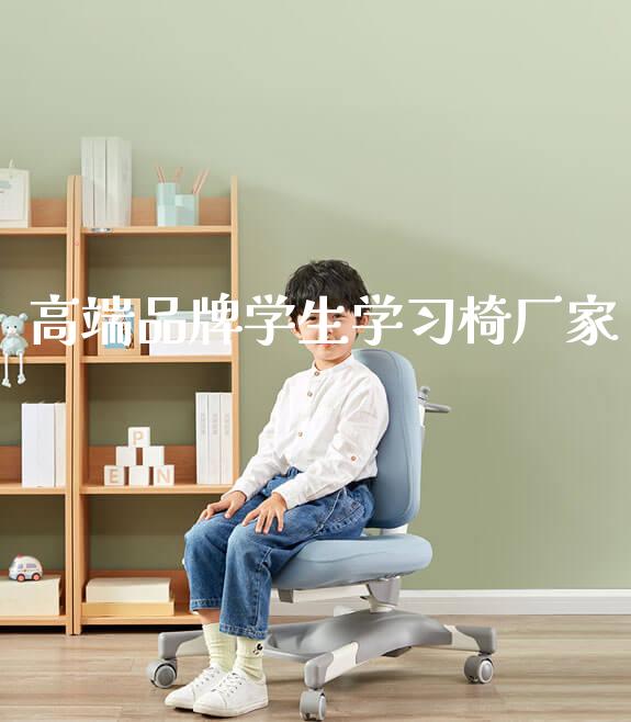 高端品牌学生学习椅厂家_https://www.gmyd.com.cn/ejxsy_正姿椅系列_第1张