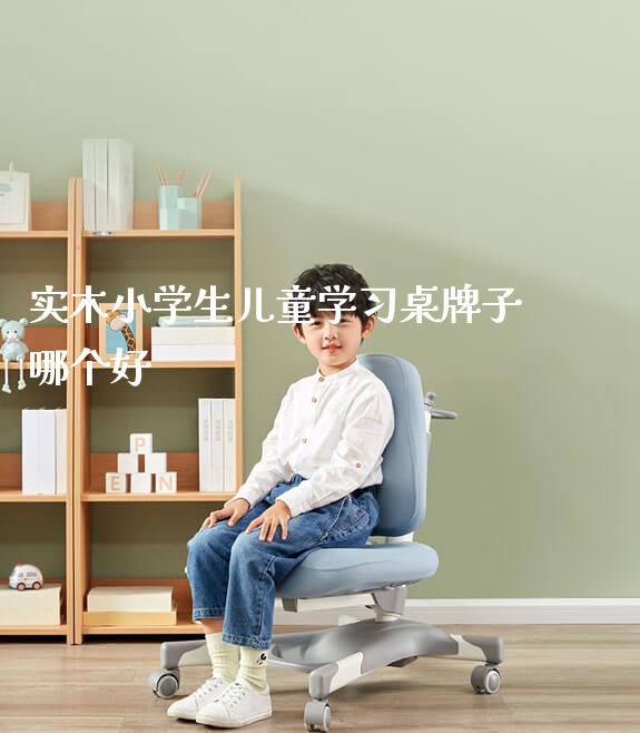 实木小学生儿童学习桌牌子哪个好_https://www.gmyd.com.cn/ejxsy_学生桌椅_第1张