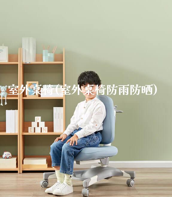 室外桌椅(室外桌椅防雨防晒)_https://www.gmyd.com.cn/ejxsy_正姿椅系列_第1张