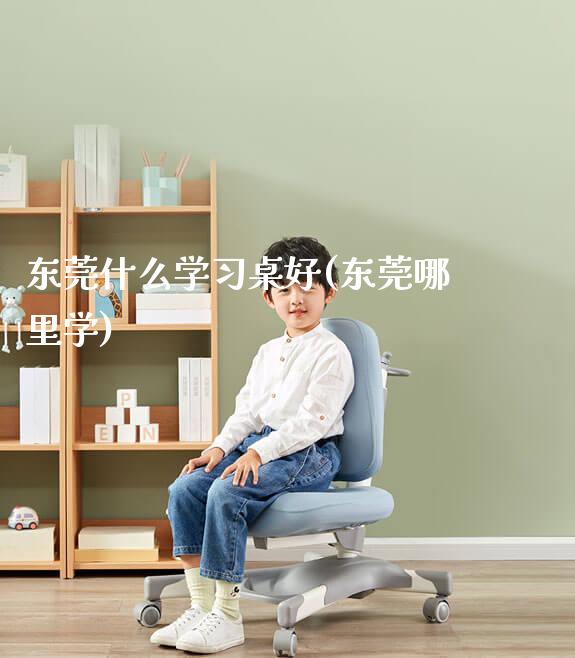 东莞什么学习桌好(东莞哪里学)_https://www.gmyd.com.cn/ejxsy_学生书桌_第1张