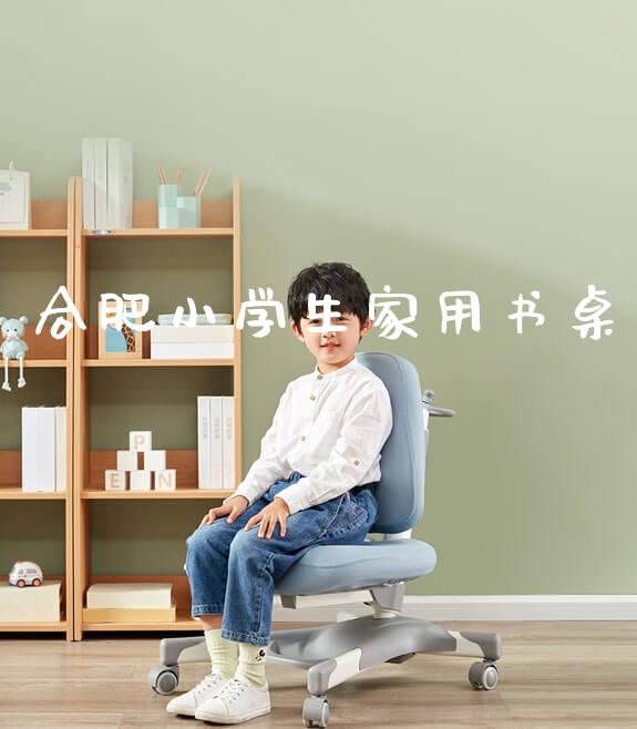 合肥小学生家用书桌_https://www.gmyd.com.cn/ejxsy_banner图片_第1张