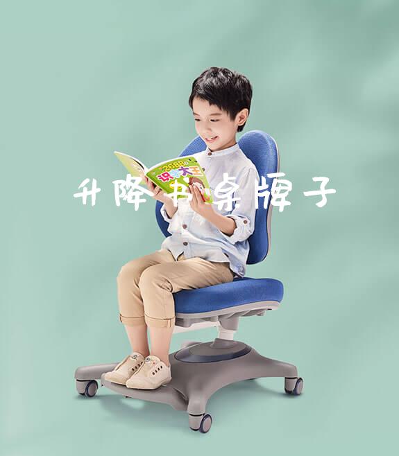 升降书桌牌子_https://www.gmyd.com.cn/ejxsy_正姿椅系列_第1张