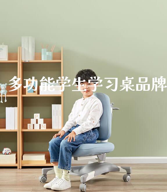 多功能学生学习桌品牌_https://www.gmyd.com.cn/ejxsy_正姿椅系列_第1张