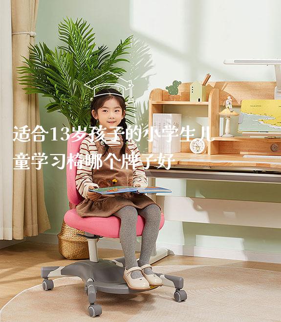 适合13岁孩子的小学生儿童学习椅哪个牌子好_https://www.gmyd.com.cn/ejxsy_学生桌椅_第1张