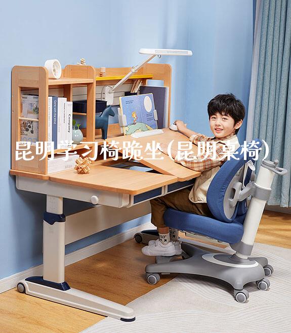 昆明学习椅跪坐(昆明桌椅)_https://www.gmyd.com.cn/ejxsy_学习桌系列_第1张