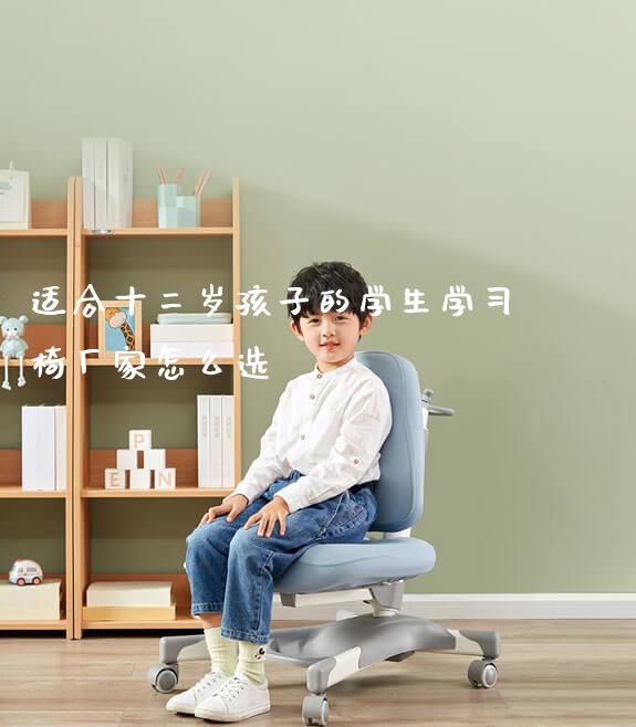 适合十二岁孩子的学生学习椅厂家怎么选_https://www.gmyd.com.cn/ejxsy_学生桌椅_第1张