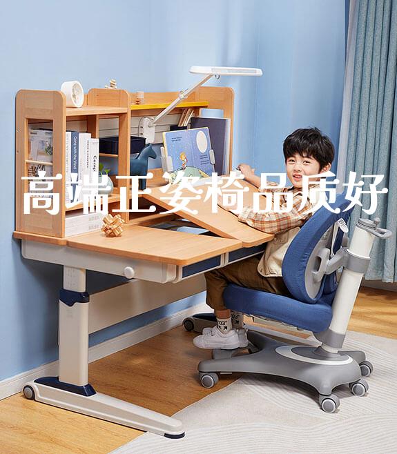 高端正姿椅品质好_https://www.gmyd.com.cn/ejxsy_学生桌椅_第1张