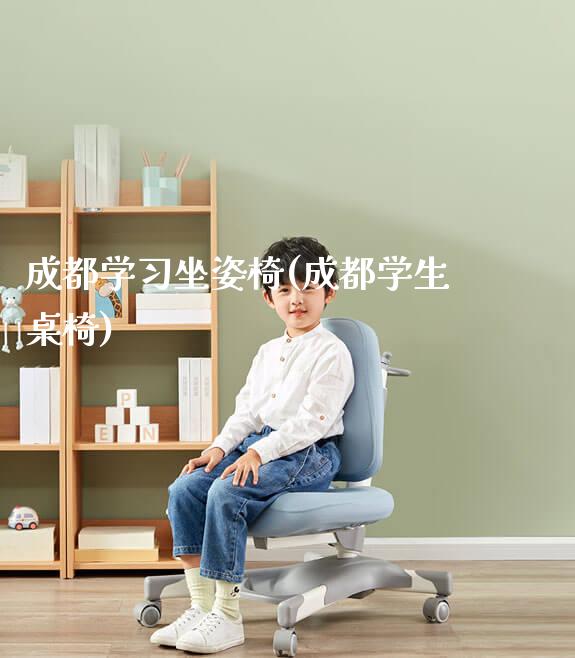 成都学习坐姿椅(成都学生桌椅)_https://www.gmyd.com.cn/ejxsy_学生桌椅_第1张