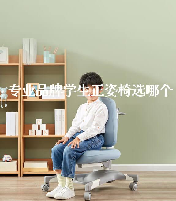 专业品牌学生正姿椅选哪个_https://www.gmyd.com.cn/ejxsy_可升降桌椅_第1张