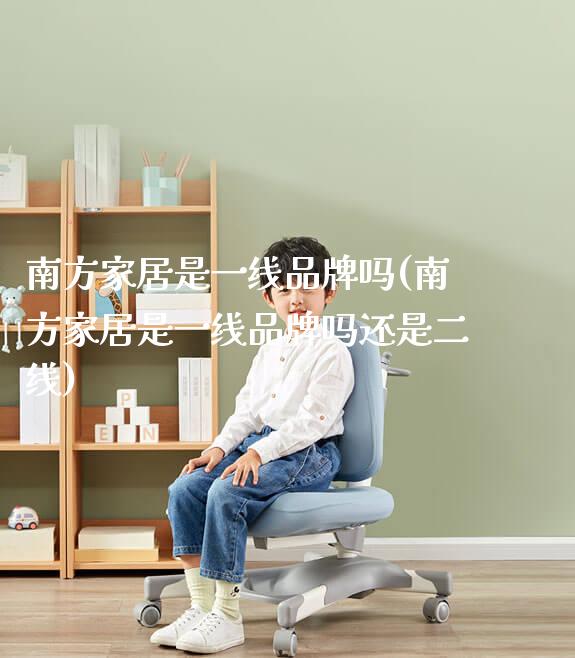 南方家居是一线品牌吗(南方家居是一线品牌吗还是二线)_https://www.gmyd.com.cn/ejxsy_正姿椅系列_第1张