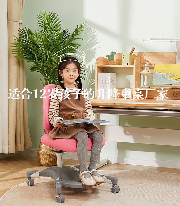 适合12岁孩子的升降书桌厂家_https://www.gmyd.com.cn/ejxsy_学习桌系列_第1张