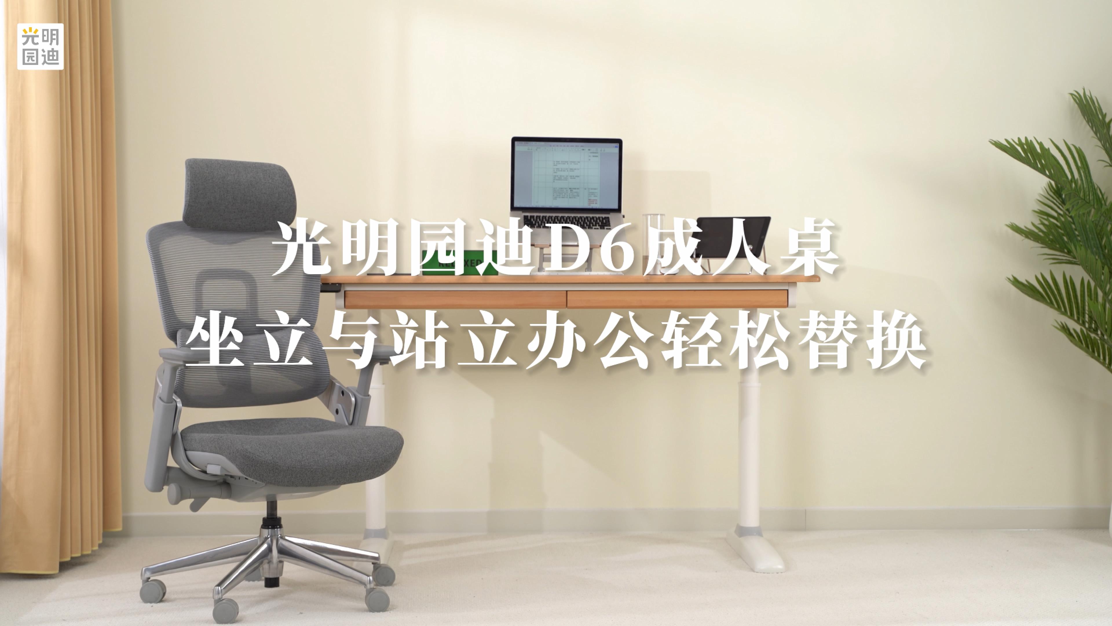 D6 成人桌 功能视频