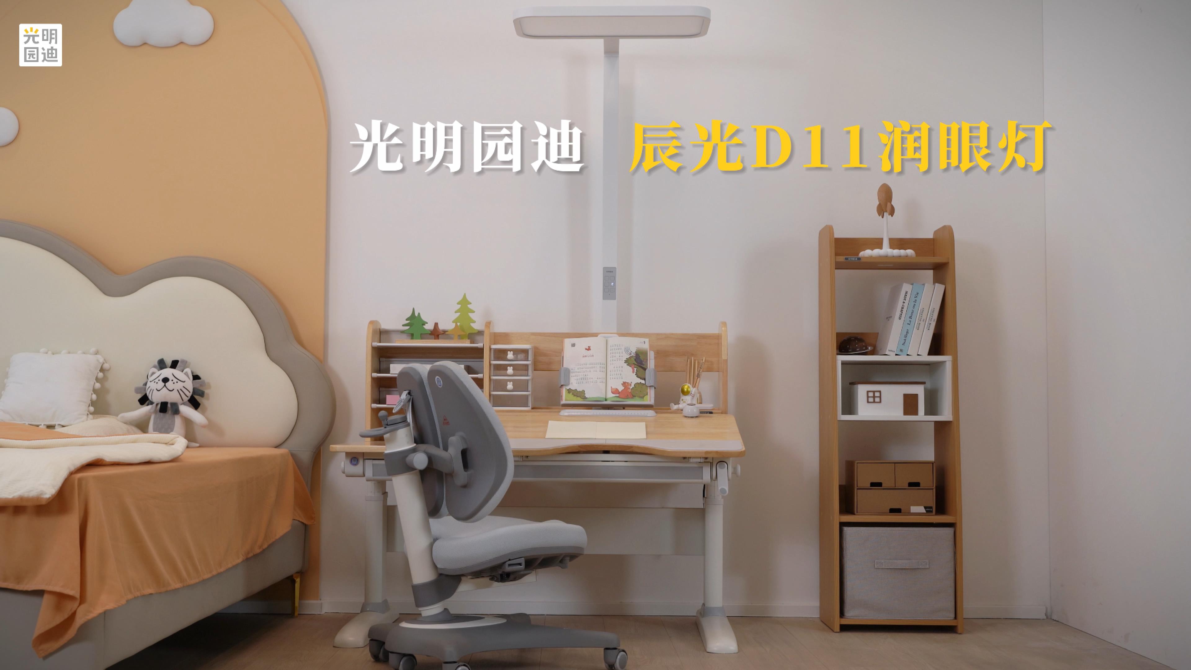 D11 D12大路灯  功能视频